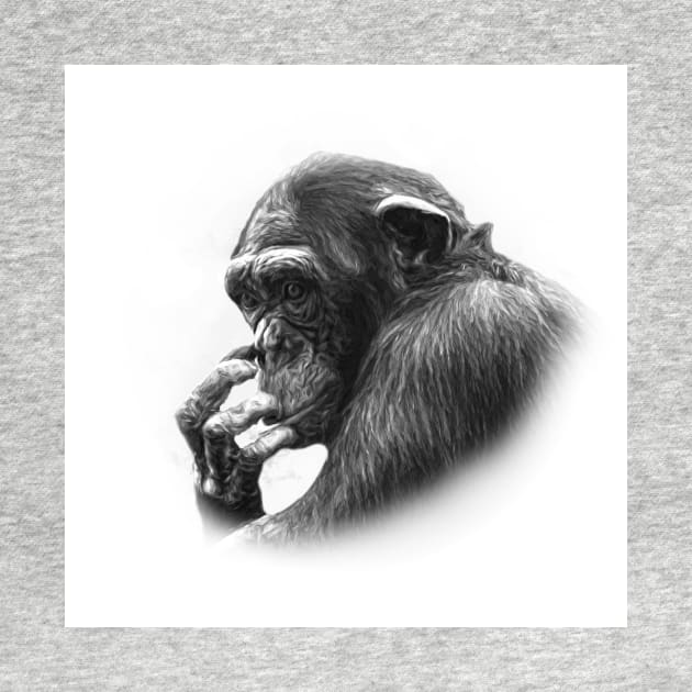 Chimpanzee by Guardi